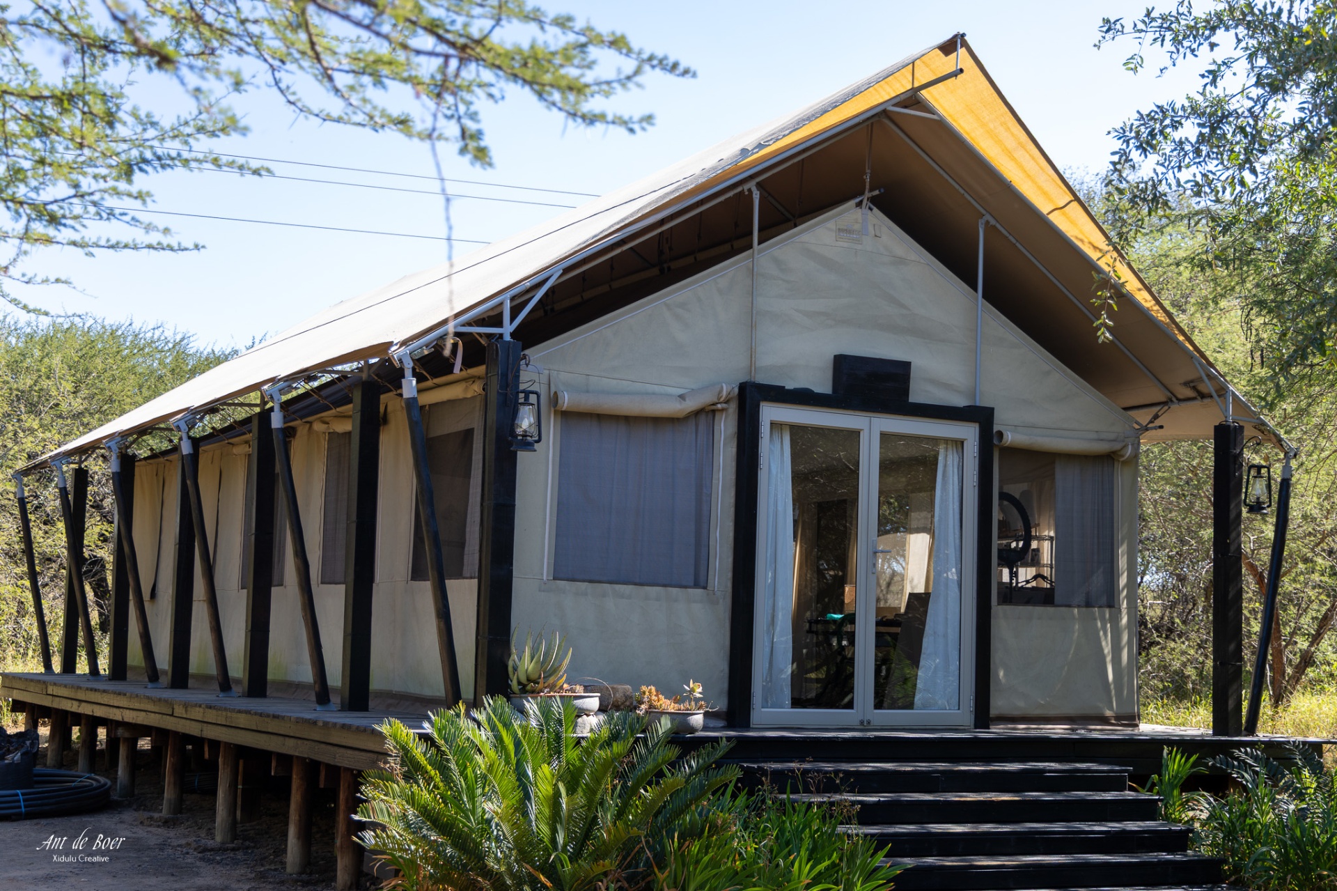 Lodge canvas — Kruger